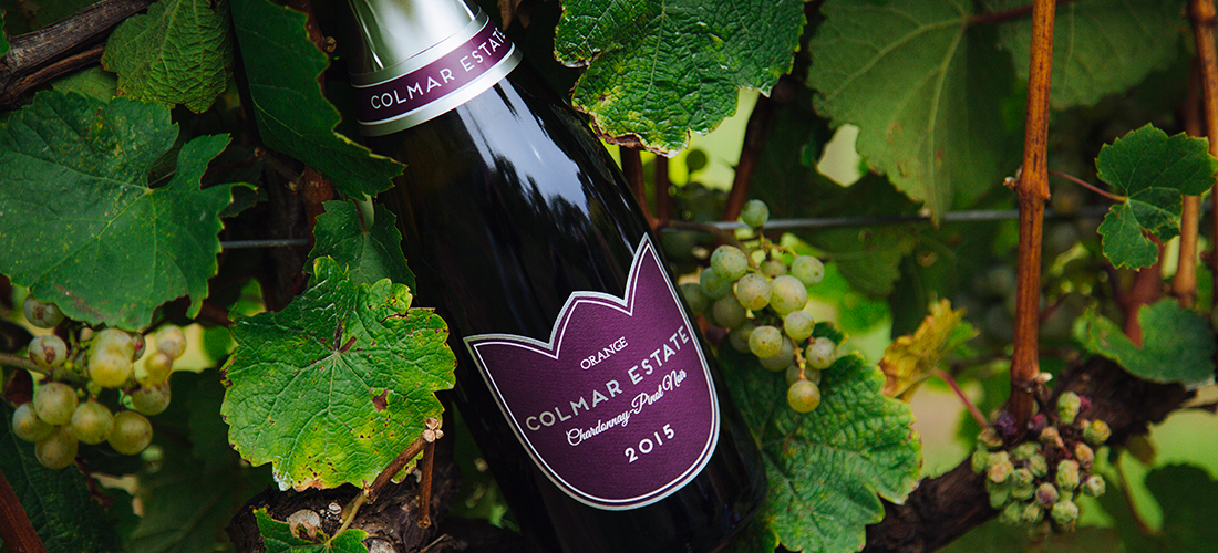 Bottole of sparkling wine in grape vines